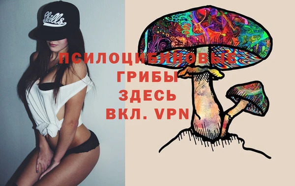 MDMA Premium VHQ Вяземский